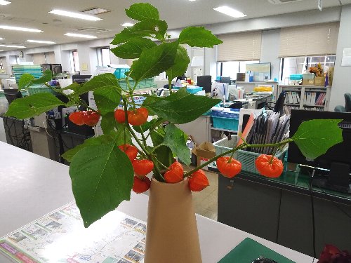 常翔学園中学校・高等学校