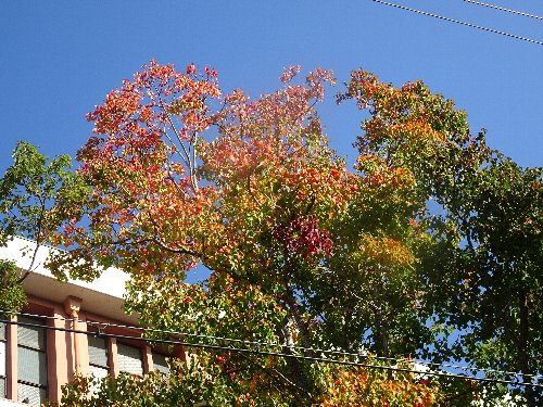 常翔学園中学校・高等学校