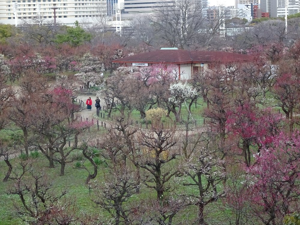 常翔学園中学校・高等学校