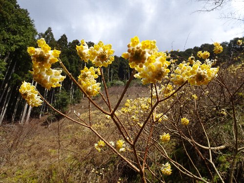 常翔学園中学校・高等学校