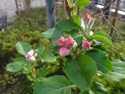 常翔学園中学校・高等学校