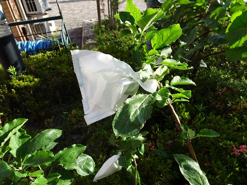常翔学園中学校・高等学校