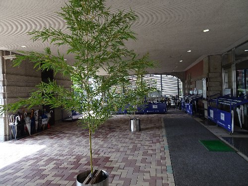 常翔学園中学校・高等学校