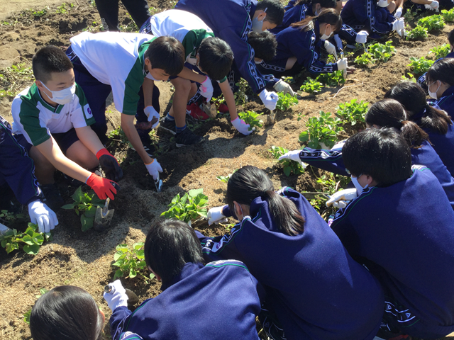 常翔学園中学校・高等学校