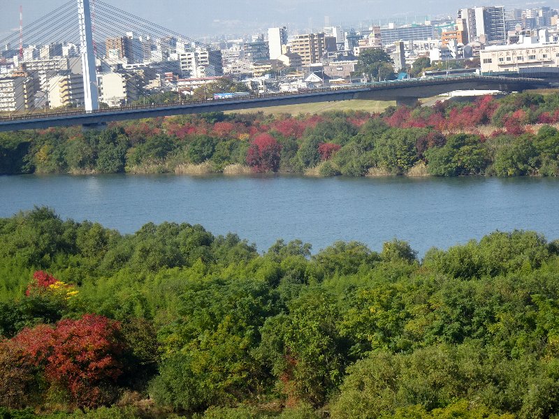 常翔学園中学校・高等学校