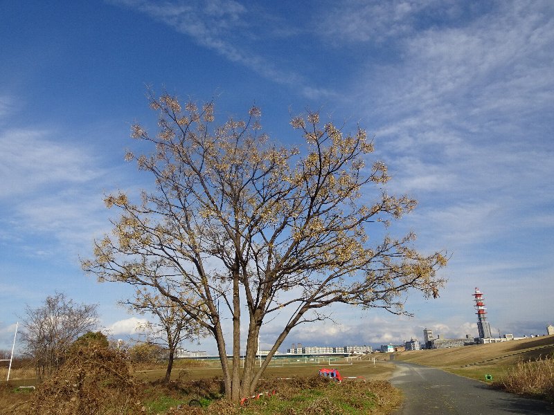 常翔学園中学校・高等学校