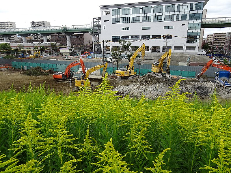常翔学園中学校・高等学校