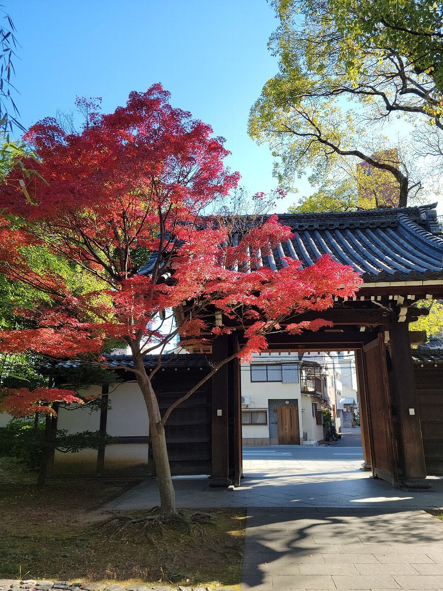 常翔学園中学校・高等学校