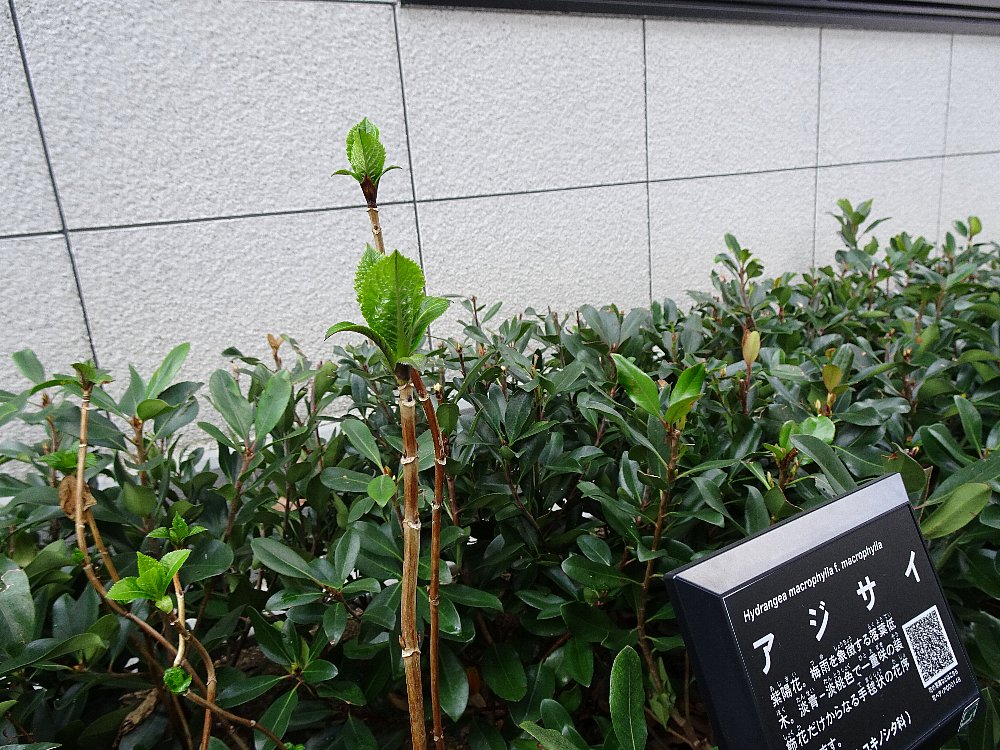 常翔学園中学校・高等学校