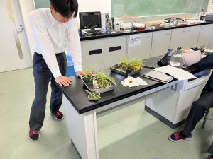 常翔学園中学校・高等学校