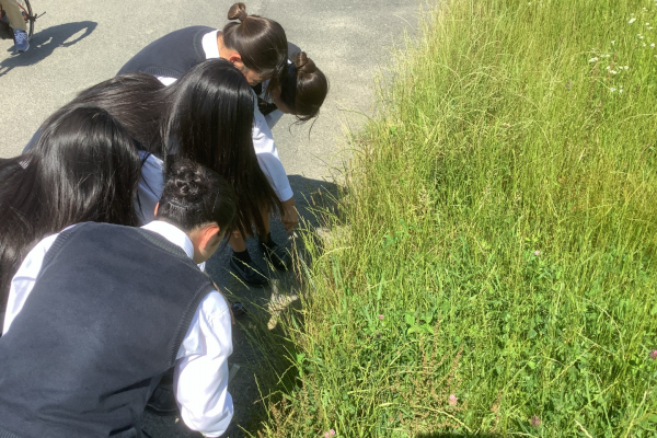 常翔学園中学校・高等学校
